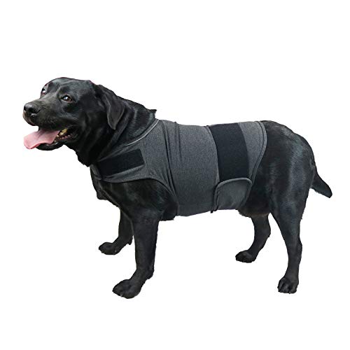 balancepaw Donnerjacke für Hunde, Angstlinderung, Hunde-Angstweste, beruhigende Pflege für Trennung, Gewitter, Reisen, Feuerwerk, Tierarztbesuche (Grau, XL) von balancepaw