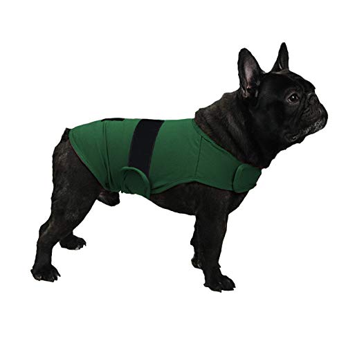 balancepaw Donnerjacke für Hunde, Angstlinderung, Hunde-Angstweste, beruhigende Pflege für Trennung, Gewitter, Reisen, Feuerwerk, Tierarztbesuche (Grün, M) von balancepaw