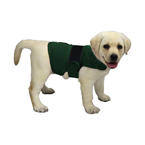 balancepaw Donnerjacke für Hunde, Angstlinderung, Hunde-Angstweste, beruhigende Pflege für Trennung, Gewitter, Reisen, Feuerwerk, Tierarztbesuche (Grün, S) von balancepaw