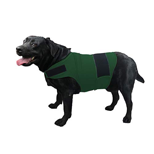 balancepaw Donnerjacke für Hunde, Angstlinderung, Hunde-Angstweste, beruhigende Pflege für Trennung, Gewitter, Reisen, Feuerwerk, Tierarztbesuche (Grün, XL) von balancepaw