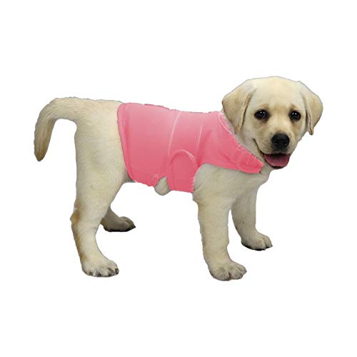 balancepaw Donnerjacke für Hunde, Angstlinderung, Hunde-Angstweste, beruhigende Pflege für Trennung, Gewitter, Reisen, Feuerwerk, Tierarztbesuche (Rosa, S) von balancepaw