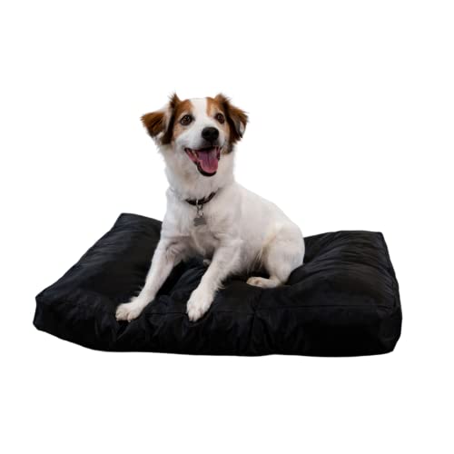 bananair - Hundebett Weich & Bequem - Wasserabweisender Stoff, Leicht zu Reinigen - XXL Hundekissen/Hundekorb/Dog Bed für Kleine & Große Hunde, Verschiedene Größen/Farben (75 x 50 x 10 cm, Schwarz) von bananair