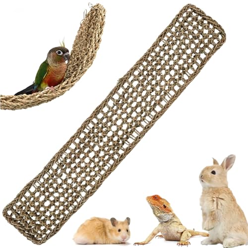100x18,5 cm Vogel-Seegrasmatte Ladder Kletterseil Leiter Vögel Hamster Seegras-Gewebenetz Lange Kletterseilleiter Wellensittich Schaukel für Sittiche Liebesvögel Finken Ratten Kleintier-Seilnetzspielz 100x18,5 cm Vogel-Seegrasmatte Ladder Kletterseil Leiter Vögel Hamster Seegras-Gewebenetz Lange Kletterseilleiter Wellensittich Schaukel für Sittiche Liebesvögel Finken Ratten Kleintier-Seilnetzspielz von bangminda