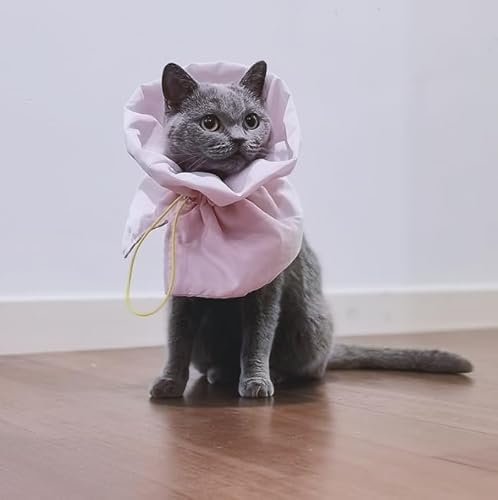 Halskrause Katze Schutz Einstellbares Weich Katzen Halskrause wasserdichte Elisabethanisches Halsband Post-Op Halsband Schutzhalsband für Katzen Halsschutzhalsband Katzen Erholungshalsband (Rosa, M) von bangminda