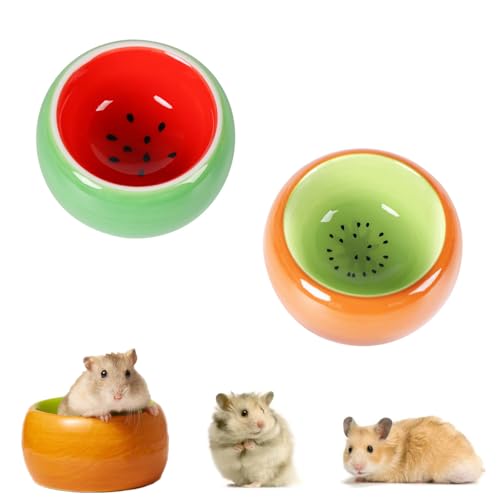 Hamster Näpfe Set 2 Stück Hamster Keramik Futterschalen Kleintiere Keramik Futterschale Keramik Napf für Kleintiere Anti-Biss Keramische Hamster Futternapf Schälchen für Meerschweinchen (Kiwi-Set) von bangminda