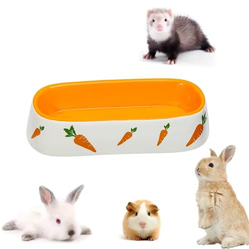 Kaninchen Keramik Futternapf Keramik Kaninchen Keramiknapf für Kleintiere Trinkschale Futterschalen für Hamster Chinchilla Igel Welpen Kätzchen Rennmäuse Frettchen (Lange Schüssel) von bangminda