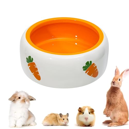 Kaninchen Keramik Futternapf Keramik Kaninchen Keramiknapf für Kleintiere Trinkschale Futterschalen für Hamster Chinchilla Igel Welpen Kätzchen Rennmäuse Frettchen (Runde Schüssel) von bangminda