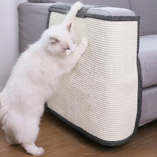 Kratzmatte Katze Sofa Kratzschutz Sofa Katze Katzen Kratzmatte Möbelschoner Kratzteppich Katze Sofa Kratzschutz Katze Katzenmöbel Schutz Kratzschutz Anti-Kratzer Sofa Kissen (Dunkelgrau, Rechts) von bangminda