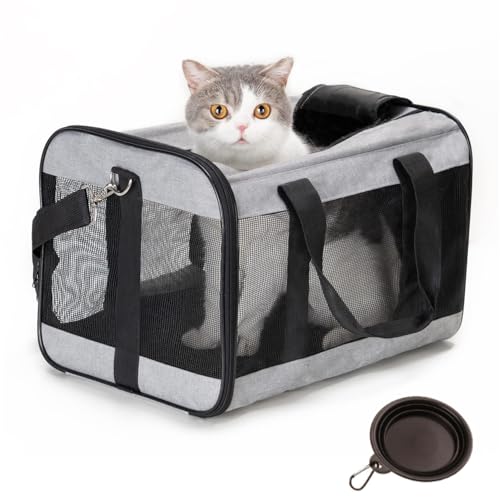 Transporttasche für Katze Hund Faltbare Hundetransportbox Tragbar Katzentransportbox 5kg Katzen Hunde Tragebox für Kleine Hunde Katze Hundebox 43 x 28 x 28 cm (Grau, M) von bangminda