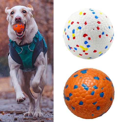 bangminda 2 Stück Hundeball Hundespielzeug Ball Dauerhaftes Hundespielzeug Tennisbälle für Hunde Hunde Ball für Große Mittelgroße Kleine Hunde Interaktive Hundespielzeug Ø 6,3cm von bangminda