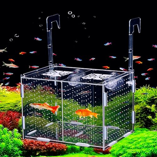 bangminda Acryl Fischzuchtbox Laichkasten für Aquarium Isolationsbox Aquarium Aufzuchtbecken Aquarium Fischabscheider für Aquarium Aquarienfisch Zuchtbox Aquarium für Garnelen Guppy von bangminda