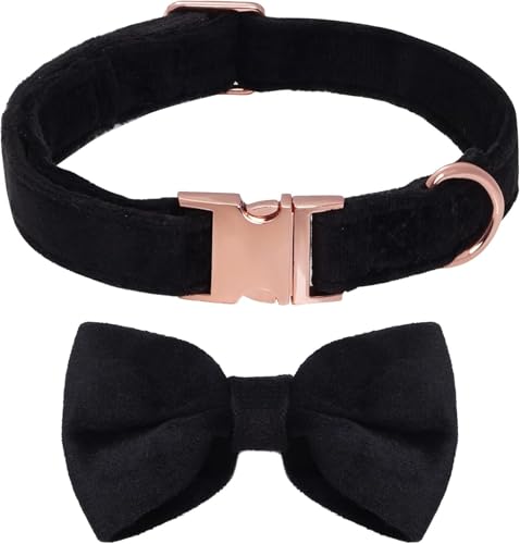 Hundehalsband mit Abnehmbarer Hunde Fliege Komfortable Samtige für Hochzeiten, Geburtstage, Partys Halsband Hund (Schwarz, M) von baotongle