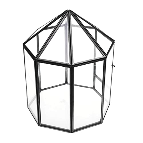 barenx Moderne Glas-Terrarium-Behälter für Sukkulenten, geometrisches Terrarium, facettiert von barenx