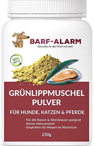 100% Grünlippmuschelpulver für Hunde 250g - Natürliches Grünlippmuschelextrakt Hunde Perna Canaliculus – Grünlippmuschel Hund Barf Pulver - Grünlippmuschelpulver Hund Katze und Pferd von barf-alarm