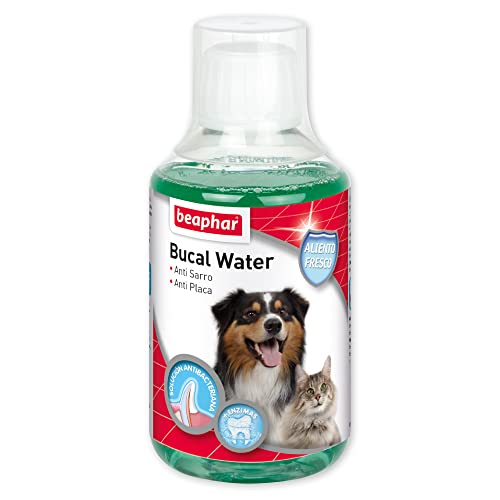 BAPHAR BUCCAL WATER HUND UND CAT 250ML von beaphar