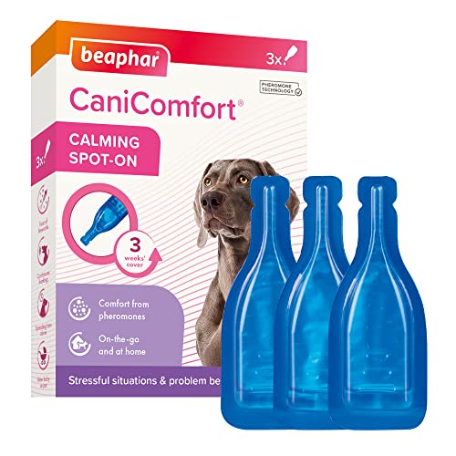 BEAPHAR - CaniComfort® Wohlfühl Spot-On - Für Hunde Und Welpen - Pheromon-Technologie - Beruhigt In Stress-Situationen - Für Unterwegs Und Zuhause - Reicht Für 3 Wochen - 3x1 ml von beaphar