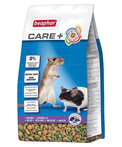 BEAPHAR - Care+ Gerbil Und Maus - Für Nager Und Kleinsäuger - Tierisches Protein, Grüner Tee-Extrakt, Echinacea, Spirulina, Vitamin E, Yucca Schidigera - Gesundheitsförderung, Zahnpflege - 700 g von beaphar