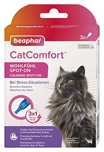 BEAPHAR - CatComfort® Wohlfühl Spot-On Für Katzen Und Kitten - Fördert Die Harmonie Zwischen Zusammenlebenden Katzen - Mit Pheromonen - Optimal Bei Stress - Auch für Freigänger - Reicht für 3x1 Woche von beaphar