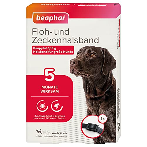 BEAPHAR - Floh- Und Zeckenhalsband - 6,15 g / 41 g Halsband Für Große Hunde- 5 Monate Wirksam - Gegen Zecken Und Flöhe - Verstellbar - Bandlänge 65 cm - Schwarz von beaphar
