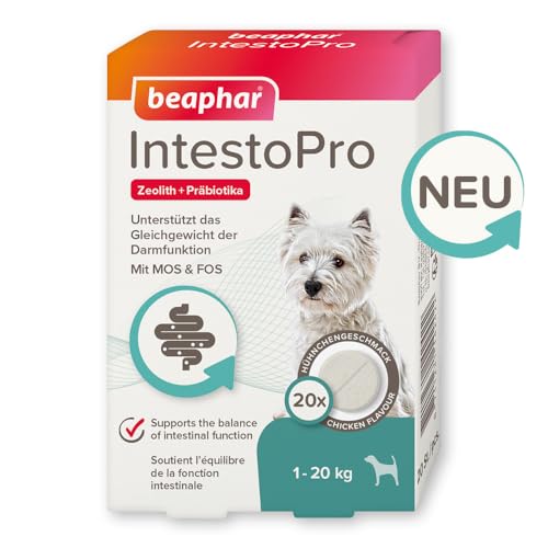 BEAPHAR - IntestoPro Tabs Für Kleine Hunde - Mit Zeolith - Mit MOS & FOS - Unterstützt Das Gleichgewicht Der Darmfunktion - 20 Stück von beaphar
