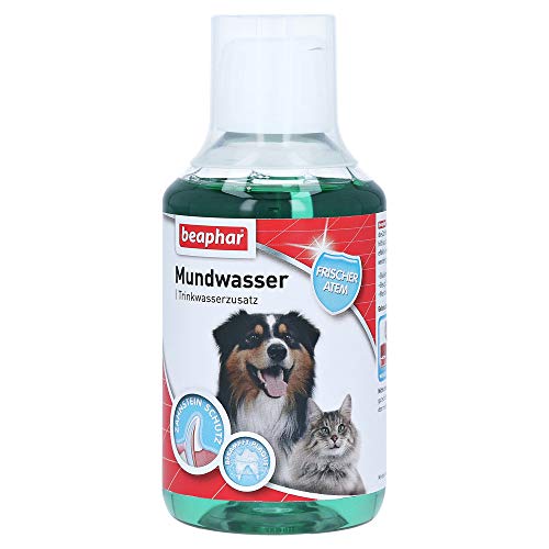 BEAPHAR - Mundwasser Für Hunde Und Katzen - Trinkwasserzusatz - Schützt vor Plaque Und Zahnstein - Frischer Atem - Mit Menthol - Keine Bürste Erforderlich - 250ml von beaphar