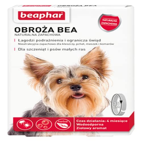 BEAPHAR Natural Bea Halsband Perfecting Dogs S - Halsband für kleine Hunde von beaphar