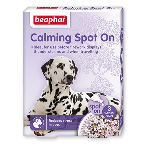 Beaphar Uk 22111/3866 Beaphar Calming Spot On for Dogs (3 Pipettes) von beaphar