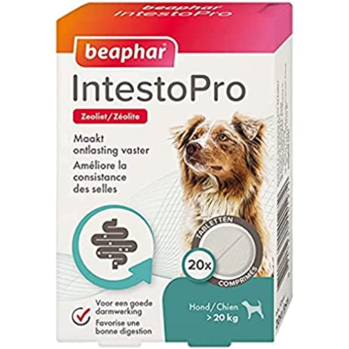 Beaphar 14127 IntestoPro Hund ab 20kg von beaphar