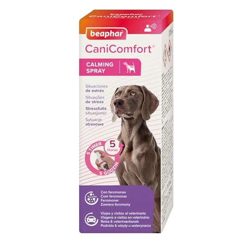 Beaphar CaniComfort Hundespray, 60 ml von beaphar