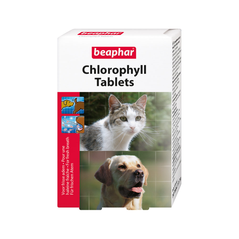 Beaphar Chlorophyll Tablets - 2 x 30 Tabletten von beaphar