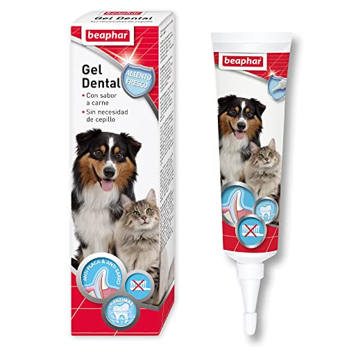 Beaphar Dental Gel Hund und Katze 100gr, Standard, einzigartig, BEA15685 von beaphar