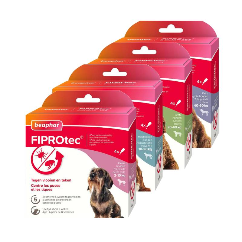 Beaphar FiproTec Spot-On Hund - 10 - 20 kg - 3 + 1 Pipetten von beaphar