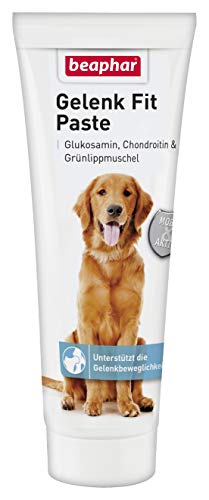 BEAPHAR - Gelenk Fit Paste Für Hunde Aller Rassen - Mit Grünlippmuschel, Glucosamin Und Chondroitin - Unterstützt Die Gelenkbeweglichkeit - 250g von beaphar