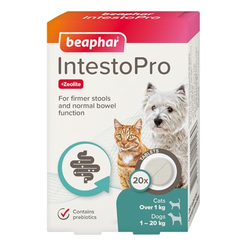 Beaphar IntestoPro Darmregler für kleine Hunde und Katzen, 20 Tabletten von beaphar