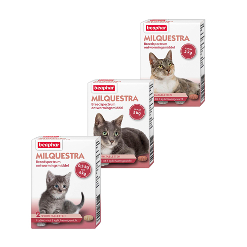 Beaphar Milquestra - große Katze - 2 Tabletten von beaphar