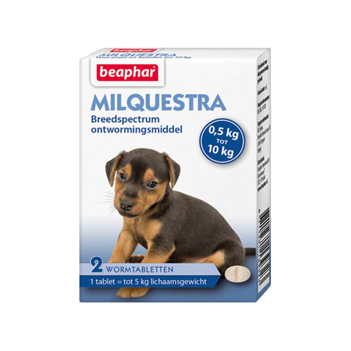 Beaphar Milquestra - großer Hund - 2 Tabletten von beaphar