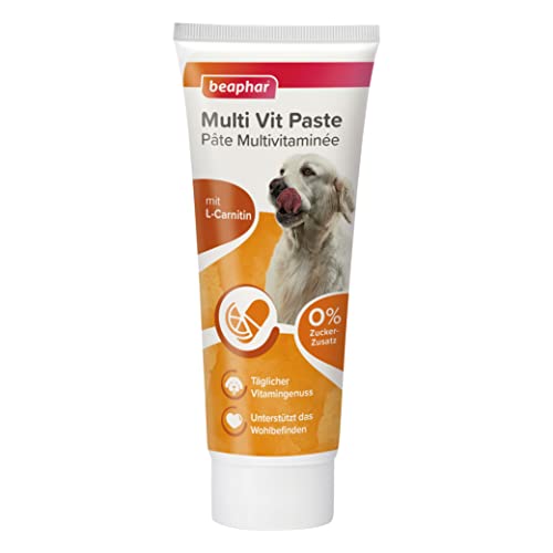 Beaphar Multi-Vitamin-Paste für Hunde, 250 g (Packung mit 2) von beaphar