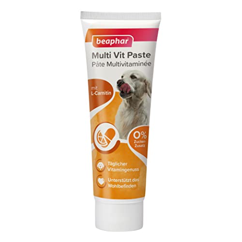 BEAPHAR - Multi Vit Paste - Für Hunde - Mit Biotin, L-Carnitin - Für Strapazierfähige Haut Und Schönes Fell - 0% Zucker-Zusatz - Täglicher Vitamingenuss - Unterstützt Das Wohlbefinden - 100 g von beaphar