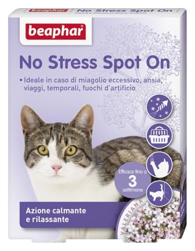 Beaphar No Stress Spot On Katze, beruhigende Katze, 3 Pipetten, beruhigende und entspannende Wirkung, wirkt in 1 Stunde, für eine ruhige und stressfreie Umgebung von beaphar