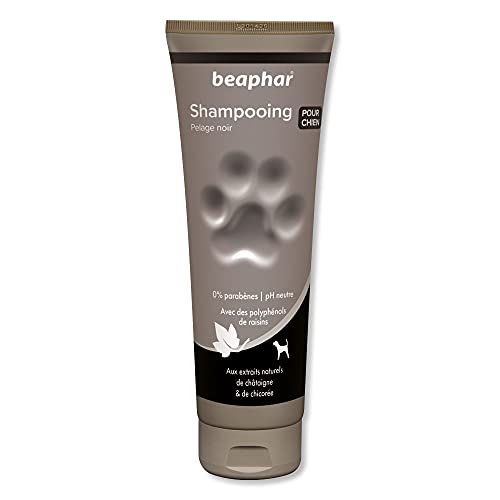 Beaphar Shampoo Hohe kosmetische Hunde Schwarzes oder dunkles Haar, eine Größe 250 ml 250 ml von beaphar