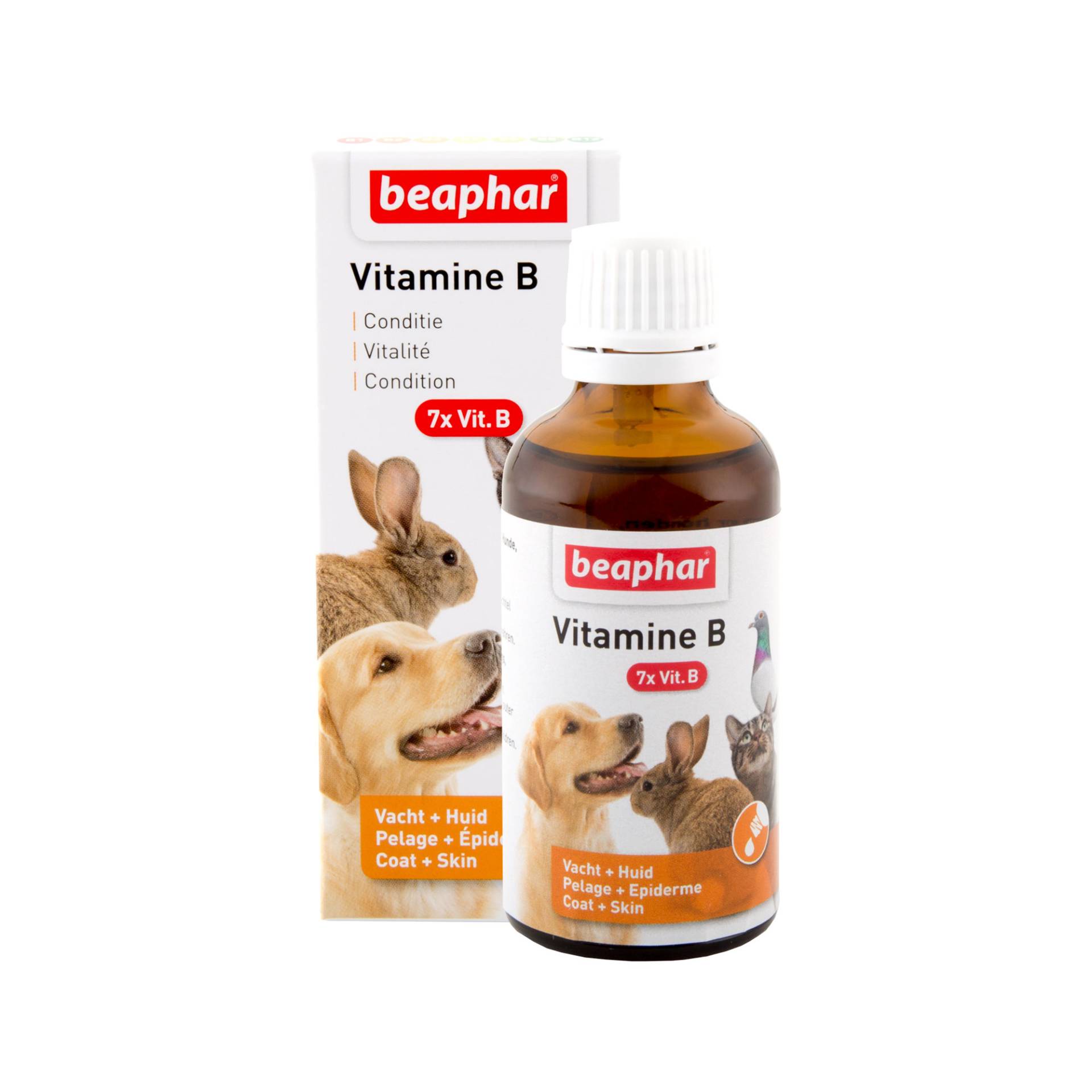 Beaphar Vitamin B-Complex (Vitamin-B Komplex) - 50 ml von beaphar