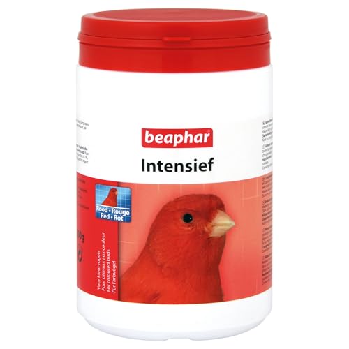 BEAPHAR - Intensiv Rot - Futterergänzung Für Rote Vögel - Intensiviert Die Rotfärbung Aller Farbigen Vogelarten - 500 g von beaphar