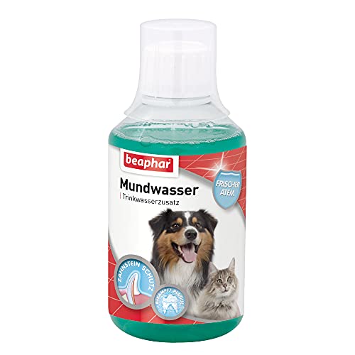 BEAPHAR - Mundwasser Für Hunde Und Katzen - Trinkwasserzusatz - Schützt vor Plaque Und Zahnstein - Frischer Atem - Mit Menthol - Keine Bürste Erforderlich - 250ml von beaphar