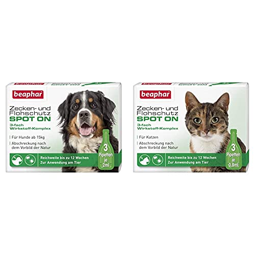 Zecken- und Flohschutz Spot ON für Hunde über 15 kg & Zecken- und Flohschutz Spot On für Katzen, Zecken- und Flohschutz mit Margosa Extrakt, 3 x 0,8 ml von beaphar