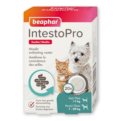 Beaphar 14126 IntestoPro Katze/Hund bis 20kg - Hilft Darmprobleme bei Hunden und Katzen zu lindern - mit Zeolith, um den Stuhl Fester zu Machen - mit FOS und MOS für eine Gute Darmfunktion von beaphar