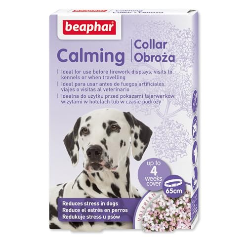 beaphar Calming Collar Dog - Entspannungshalsband für Hunde von beaphar