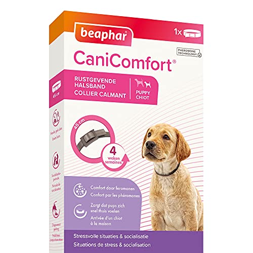 Beaphar Canicomfort Hundehalsband, beruhigend, Pheromone, 45 cm von beaphar