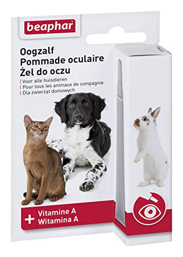 beaphar Oftal Augensalbe für Hunden, Katzen & Nager - 5 ml von beaphar