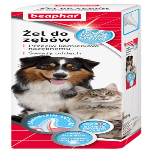 beaphar Teeth Gel 100G - Gel mit Lebergeschmack für Hunde und Katzen von beaphar