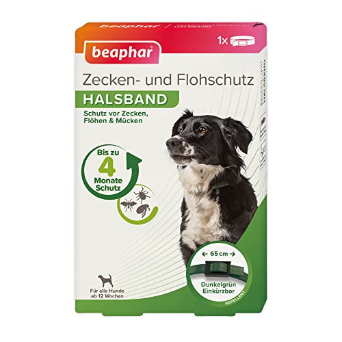 BEAPHAR - Zecken- und Flohschutz Halsband für Hunde ab 12 Wochen - Repellent - 4 Monate Schutz vor Zecken, Flöhen und Mücken - Regenfest - Verstellbar - Bandlänge 65 cm - Dunkelgrün von beaphar